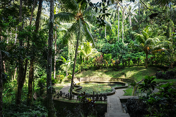 Image showing Pond and jungle in Goa Gajah elephant cave temple, Ubud, Bali, I