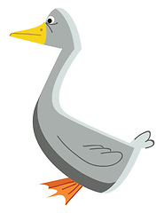 Image showing A grey color waterfowl bird with a yellow sharp beak and webbed-