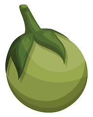 Image showing Green eggplant vector illustration of vegetables on white backgr