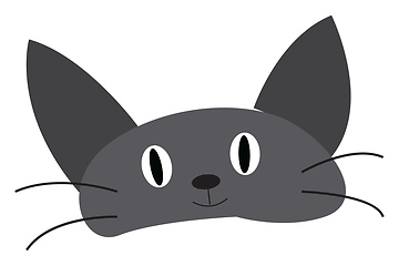 Image showing Grey baby cat face vector or color illustration