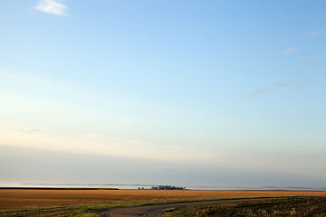 Image showing Summer landscape