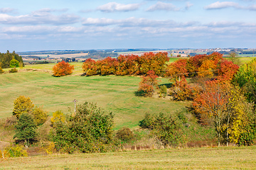 Image showing Autumn landscape with fall colored trees