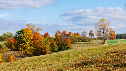 Image showing Autumn landscape with fall colored trees