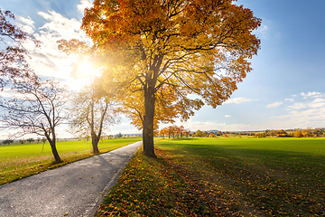 Image showing Autumn landscape with fall colored trees