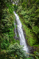 Image showing Melanting Waterfall, Munduk, Bali, Indonesia
