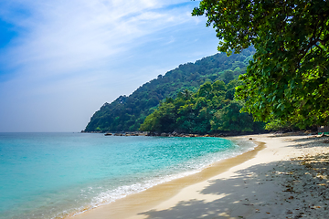 Image showing Turtle Beach, Perhentian Islands, Terengganu, Malaysia