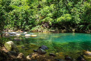 Image showing River in jungle rainforest, Khao Sok, Thailand