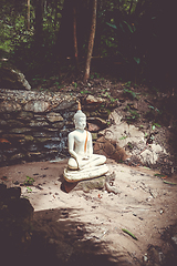 Image showing Buddha statue in jungle, Wat Palad, Chiang Mai, Thailand