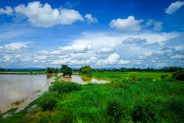 Image showing Paddy field under water, Chiang Mai, Thailand