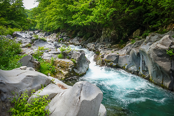 Image showing Kanmangafuchi abyss, Nikko, Japan