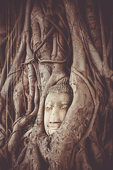 Image showing Buddha Head in Tree Roots, Wat Mahathat, Ayutthaya, Thailand