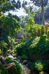 Image showing Carved rocks in Gunung Kawi temple, Ubud, Bali, Indonesia