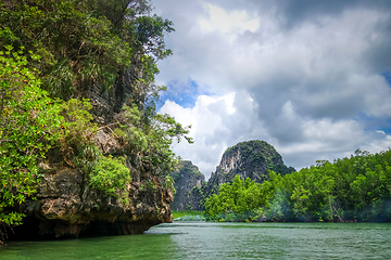 Image showing Mangrove and cliffs in Phang Nga Bay, Thailand