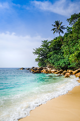 Image showing Turtle Beach, Perhentian Islands, Terengganu, Malaysia