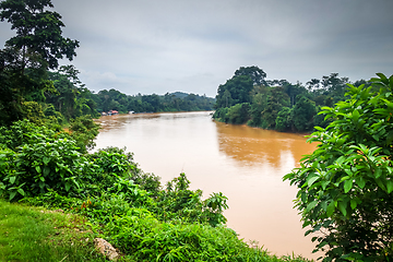 Image showing River and jungle in Taman Negara national park, Malaysia