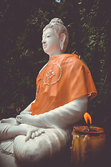 Image showing Buddha statue in jungle, Wat Palad, Chiang Mai, Thailand