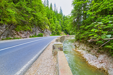 Image showing Road near river in Bicaz Gorge