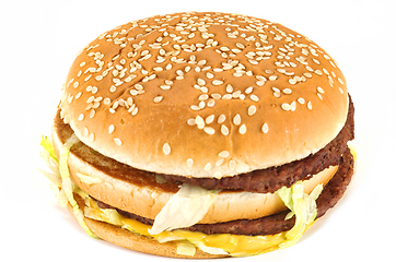 Image showing Junk food burger close image