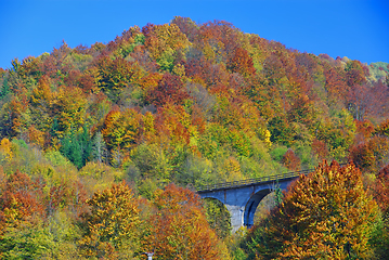 Image showing Bridge in autumn forestscene