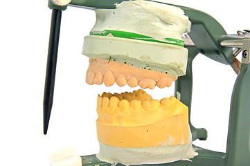 Image showing Mouth articulator model isolated over white