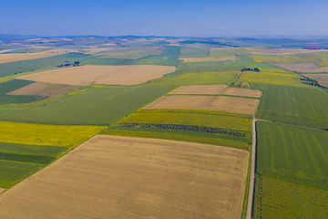 Image showing Sunflower and cereal fields from above