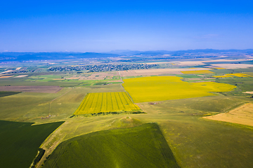 Image showing Aerial view of pasture and summer fields