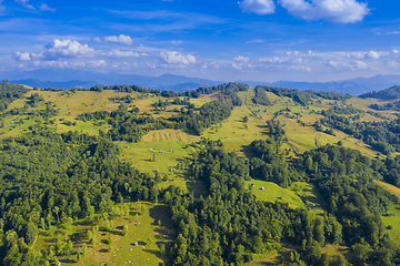 Image showing Aerial hill pasture in summer