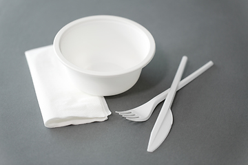 Image showing disposable plastic plate with fork and knife