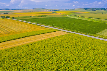 Image showing Aerial summer fields and road