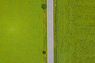 Image showing Highway road between green fields