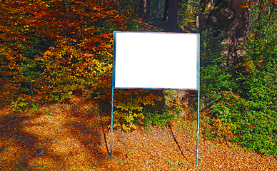 Image showing White board in autumn forest