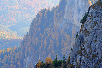 Image showing Autumn rocky mountain with colorful trees