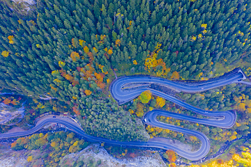 Image showing Above view of autumn forest and road