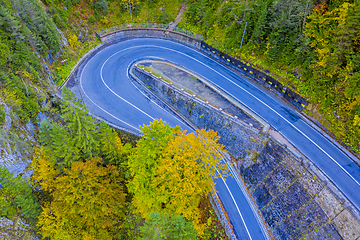 Image showing Road and autumn trees