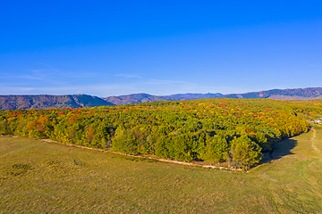 Image showing Pasture and forest in a autumn landscape