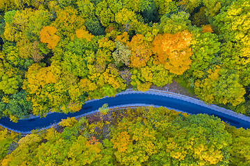 Image showing Aerial view of road in autumn forest