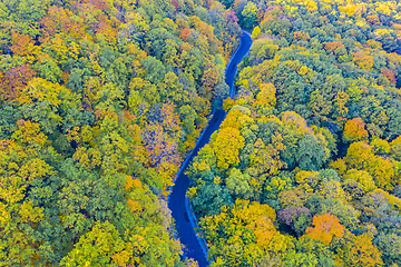 Image showing Fall forest road from above