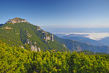 Image showing Green forest mountain and valley landscape