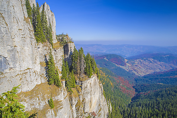 Image showing Rock wall and autumn forest