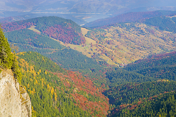 Image showing Autumn aerial landscape with colored trees