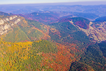 Image showing Aerial view of autumn forest