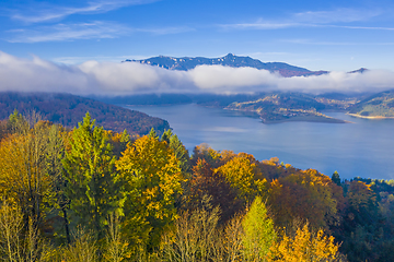 Image showing Autumn forest trees and foggy landscape