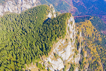 Image showing Rock mountain and autumn forest viewed from above