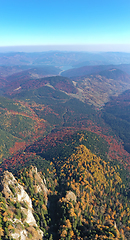 Image showing Aerial view of autumn forest trees