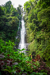 Image showing Melanting Waterfall, Munduk, Bali, Indonesia
