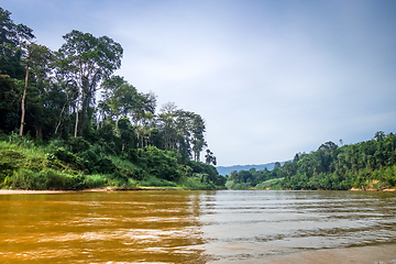 Image showing River and jungle in Taman Negara national park, Malaysia