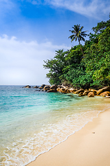 Image showing Turtle Beach, Perhentian Islands, Terengganu, Malaysia