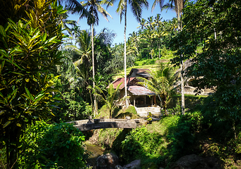 Image showing Bridge in Gunung Kawi temple, Ubud, Bali, Indonesia