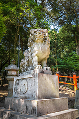 Image showing Komainu lion dog statue, Nara, Japan
