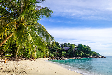 Image showing Tropical beach in Koh Lipe, Thailand